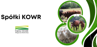Spółki KOWR