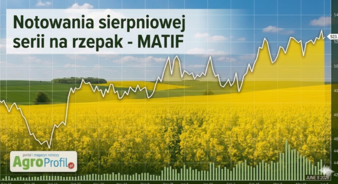 Rzepak na Matif