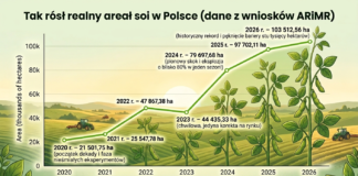 Boom na rynku soi w Polsce trwa