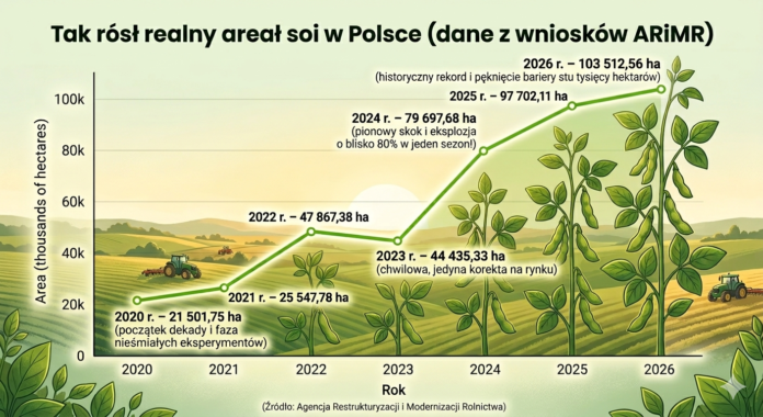 Boom na rynku soi w Polsce trwa