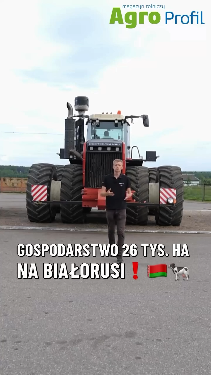 Wideo tygodnia