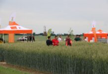 KWS w Suchodębiu