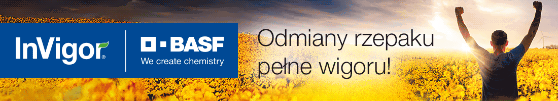 Kiła kapusty w rzepaku. Jak rozpoznać i skutecznie walczyć?