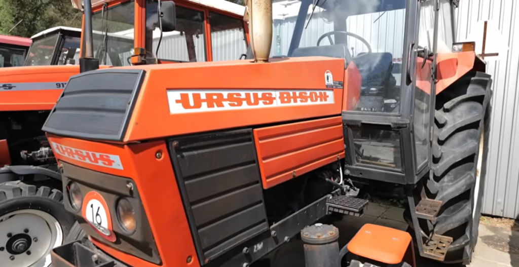 Ursus