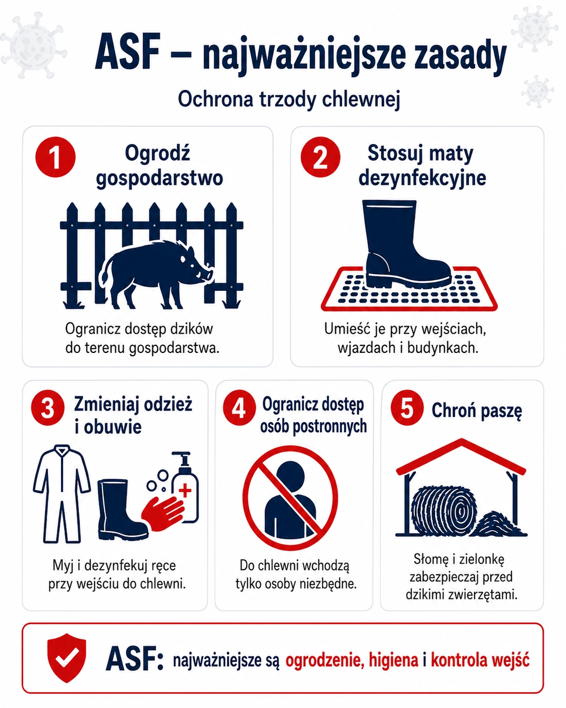 Ptasia grypa, ASF, pryszczyca – bioasekuracja zaczyna się od wejścia. Maty dezynfekcyjne jako ograniczenie ryzyka