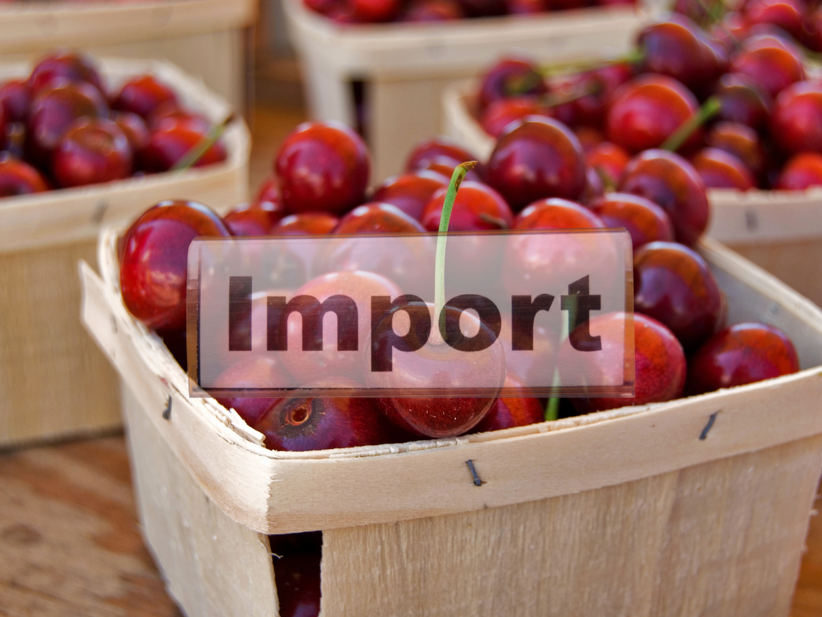 Import czereśni pod lupą. Ministerstwo żąda ostrych kontroli na granicach!