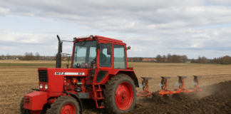 mtz 82