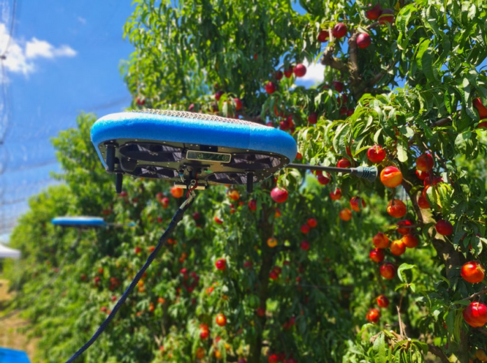 Dron do zbioru owoców