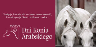 Dni Konia Arabskiego KOWR