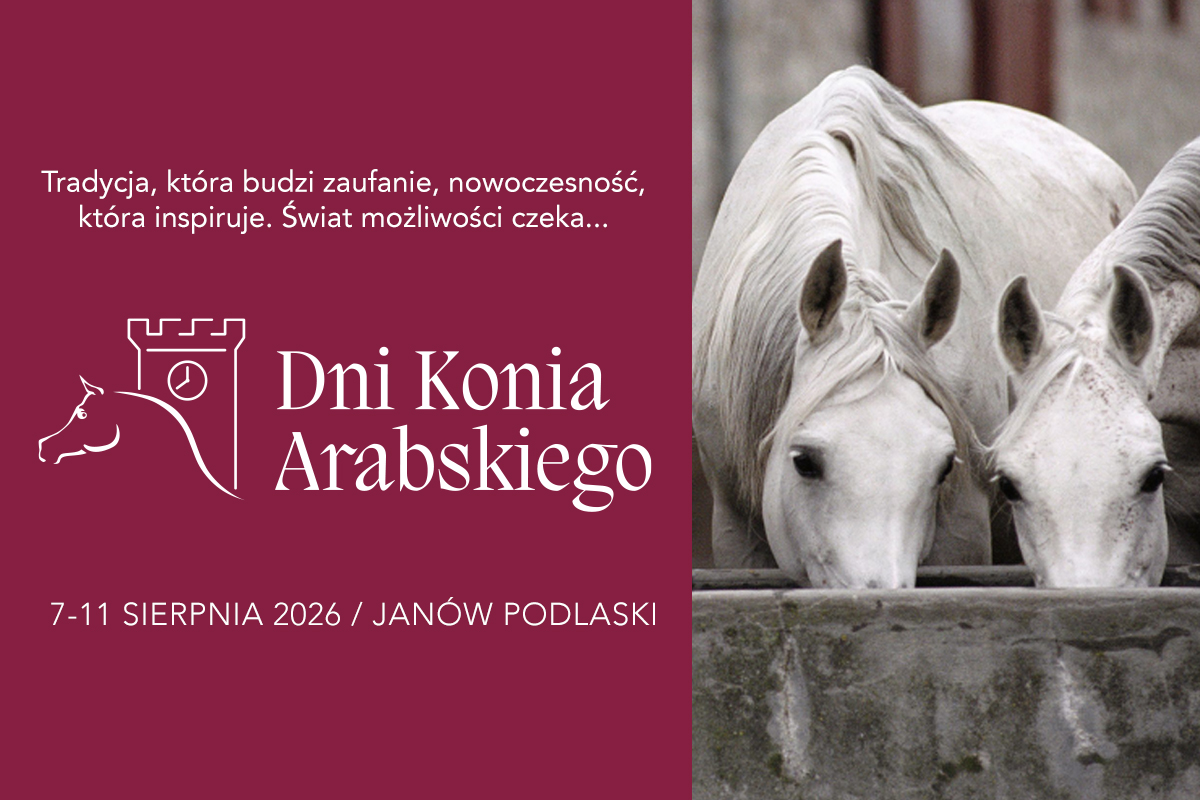 41 wyjątkowych koni, dwie prestiżowe aukcje i międzynarodowi goście. Zbliżają się Dni Konia Arabskiego
