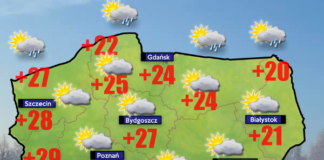 29 lipca