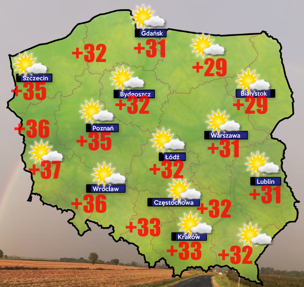 Żniwa 2026. Od +11 do +37 stopni Celsjusza