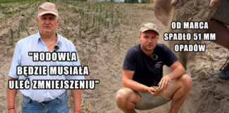 Najsuchsza gmina w Polsce – tylko 51 mm opadów! Dramatyczna susza może wymusić ograniczenie hodowli