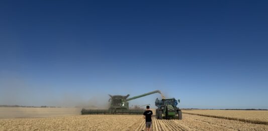 Żniwa 2026 będą droższe niż rok temu. Zbiór zbóż nawet po 570 zł/ha