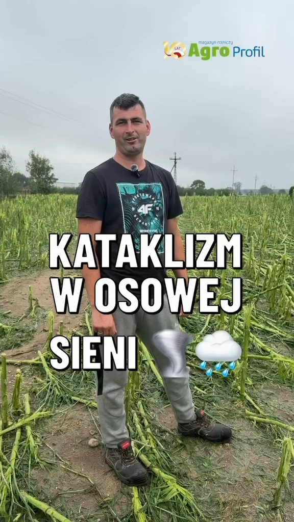 Wideo tygodnia