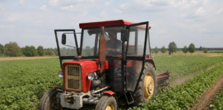 Ursus C335