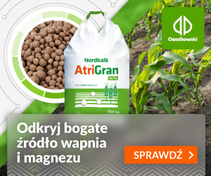 artiGLAN Osadkowski