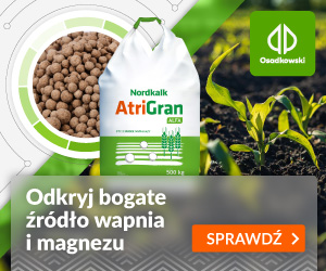 artiGLAN Osadkowski