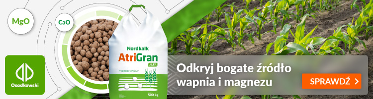 artiGLAN Osadkowski