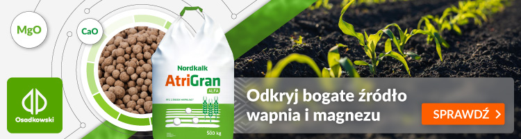artiGLAN Osadkowski
