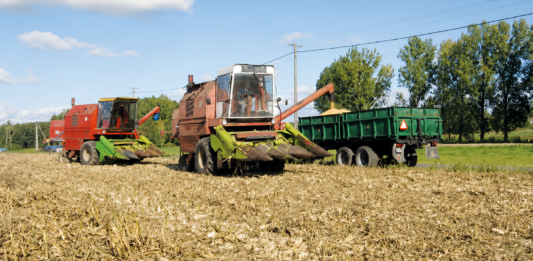 Bizon Rekord Z058