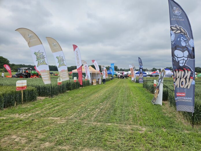 Top Farms Nasiona
