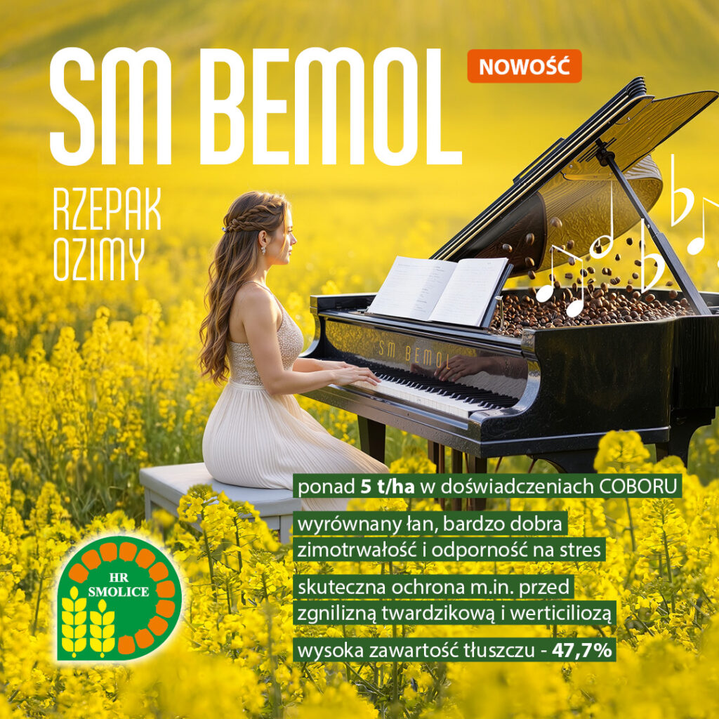 SM Bemol
