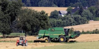 Bezpieczne żniwa. Dlaczego warto zwolnić, gdy widzisz kombajn na drodze?