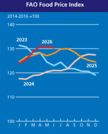 Ceny żywności w połowie 2026 roku. Globalne i lokalne trendy