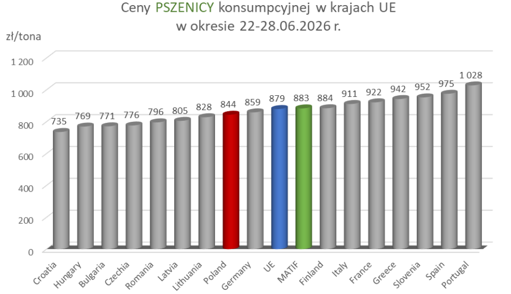 Ceny zbóż w transakcjach na koniec czerwca 2026: Kukurydza mocno w dół, stabilizacja na rynku pszenicy [MRIRW]