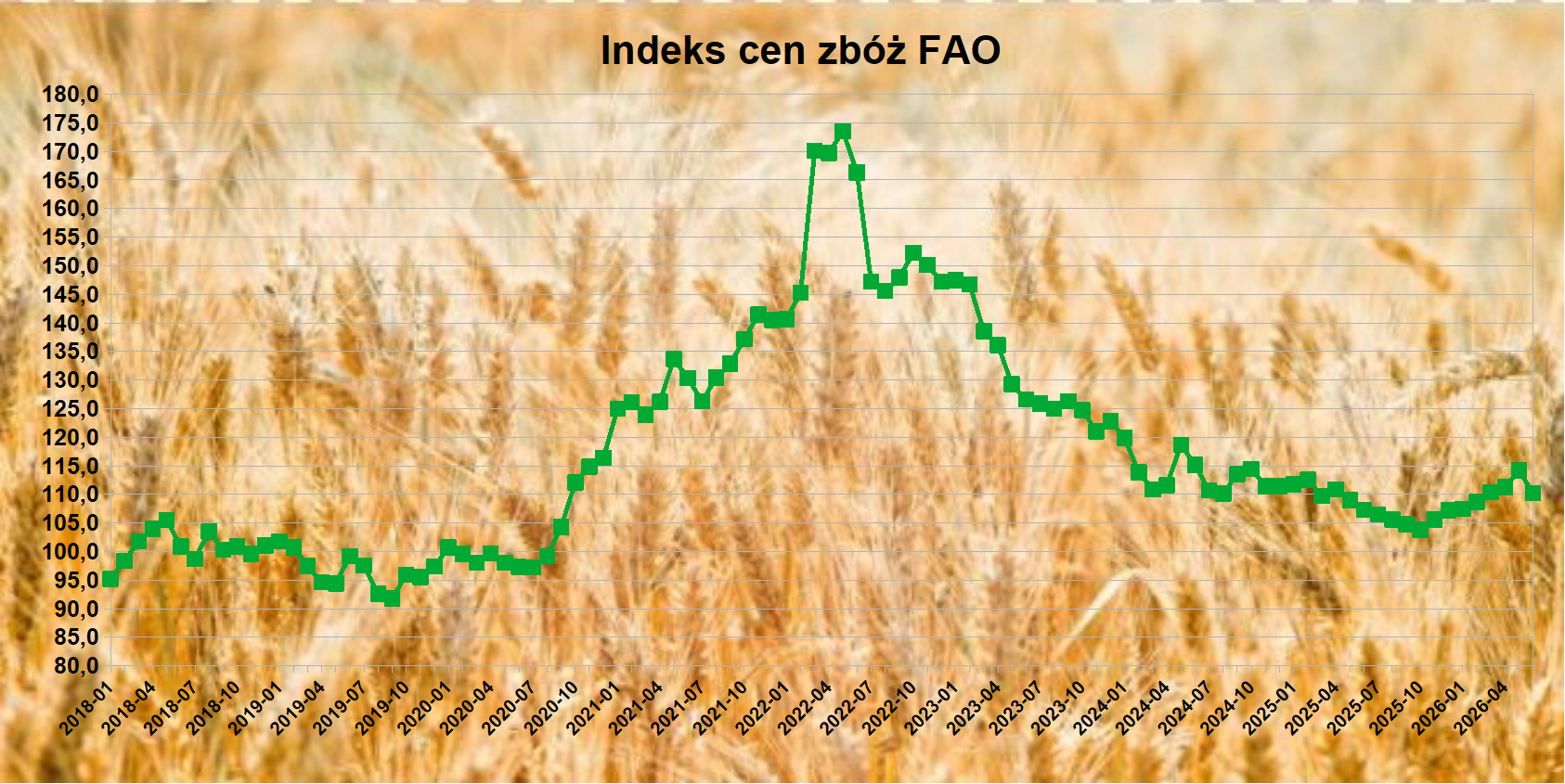 Światowe ceny zbóż spadły w czerwcu [RAPORT FAO]