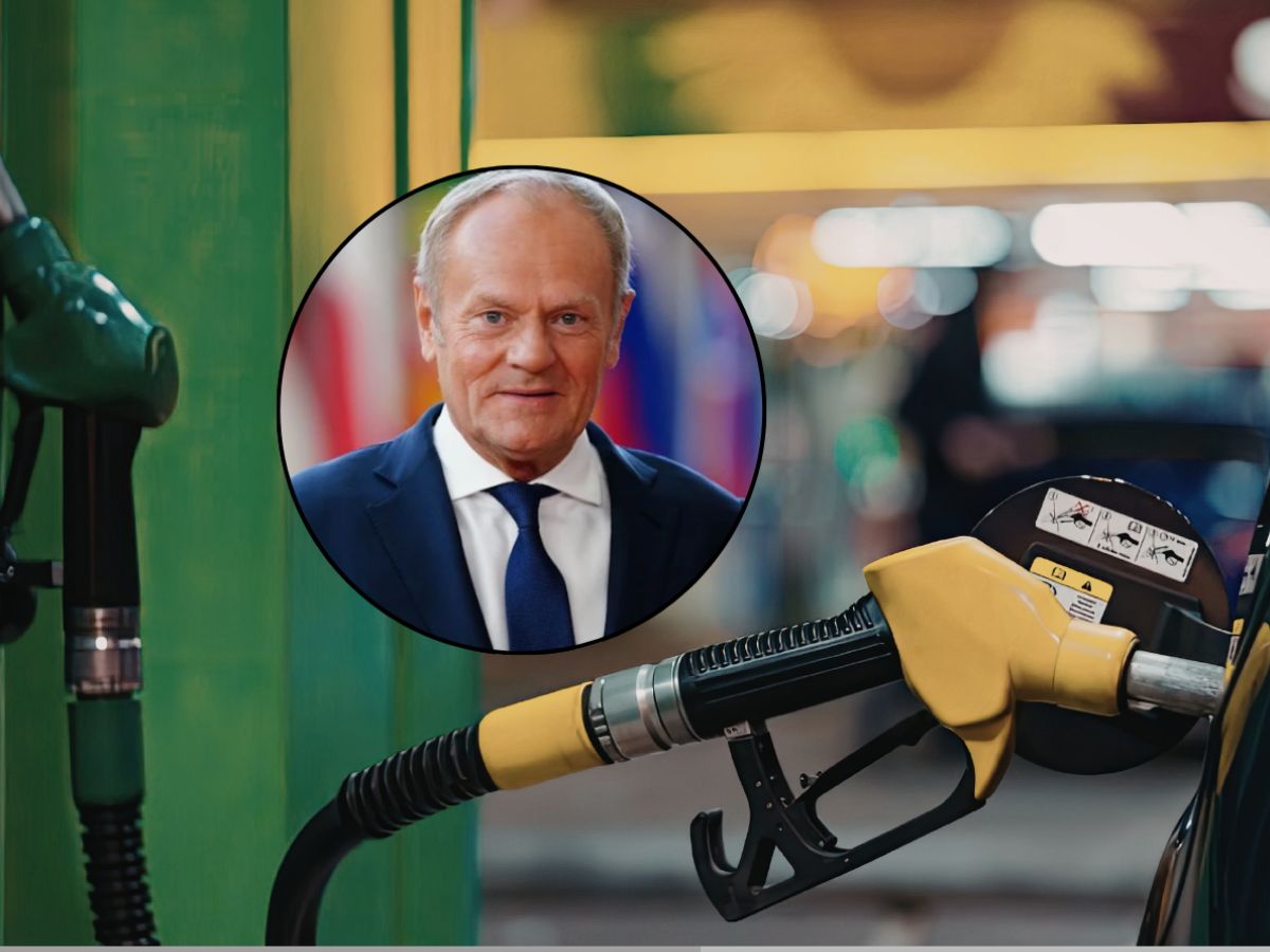 Ceny paliw [08.08.2026]: Sobotnie podwyżki w Płocku (ON +24 zł/mł, Pb95 +55 zł/mł). Ropa Brent po 83,55 USD, a 48 godzin premiera minęło bez tarczy