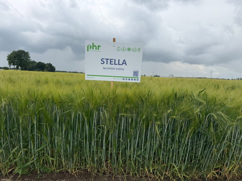 PHR Poznańska Hodowla Roślin