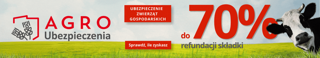 Strona główna 1 spot_img