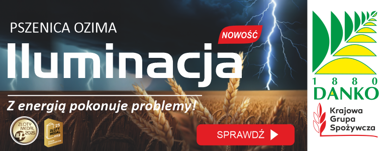 Danko Iluminacja