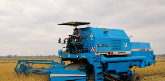 bizon do zbioru ryżu