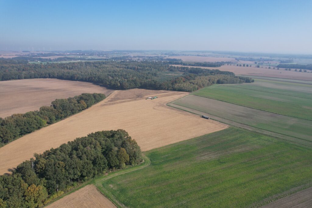 Jak przygotować działkę rolną do sprzedaży?