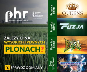 Strona główna 20 spot_img