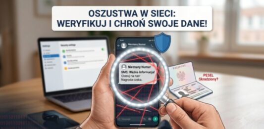 Oszustwa w sieci