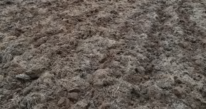 głębosz głęboszowanie podeszwa płużna