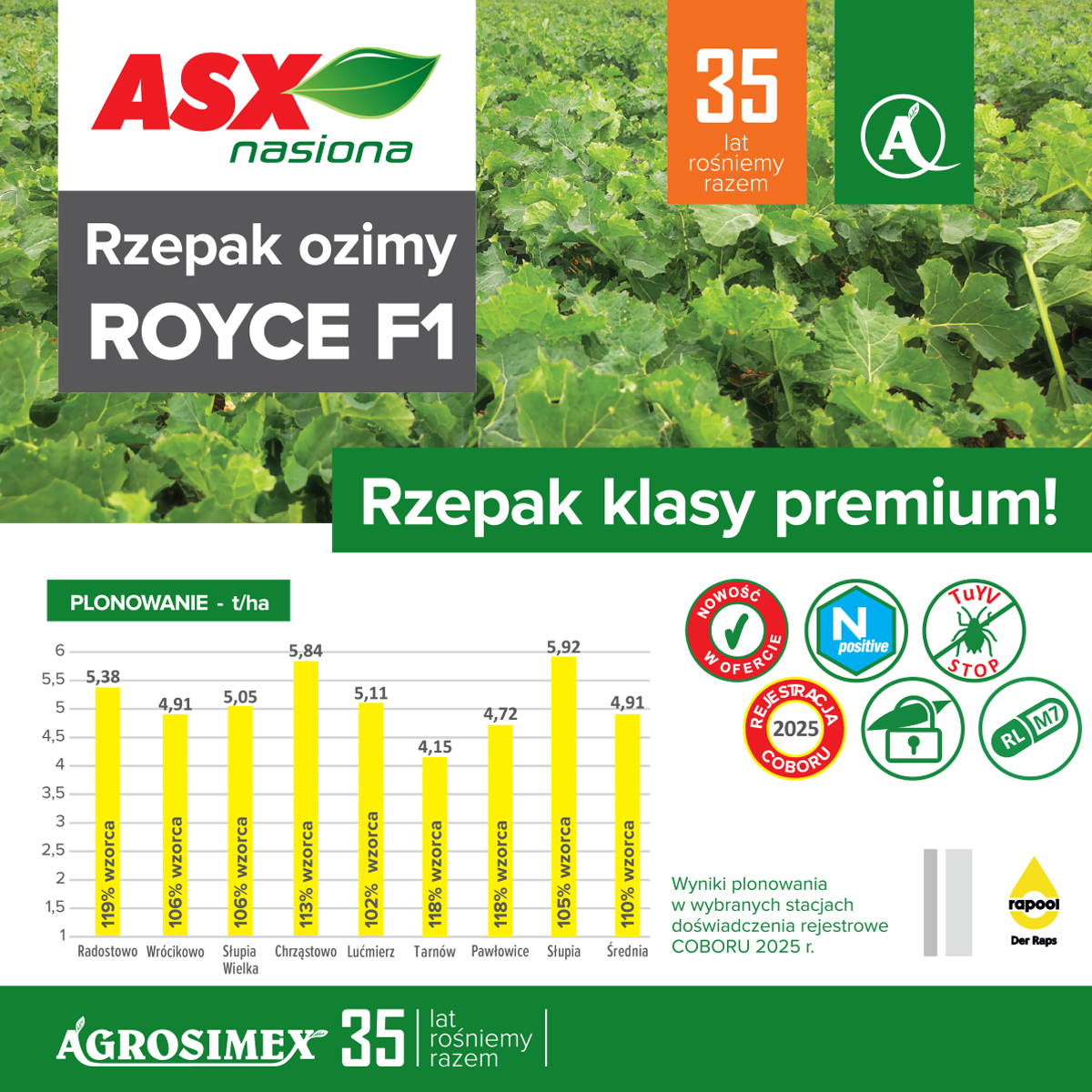 Royce F1 – choćby 115% wzorca w doświadczeniach COBORU