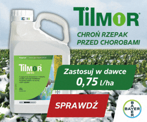 Strona główna 9 spot_img
