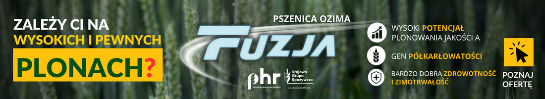Strona główna 19 spot_img