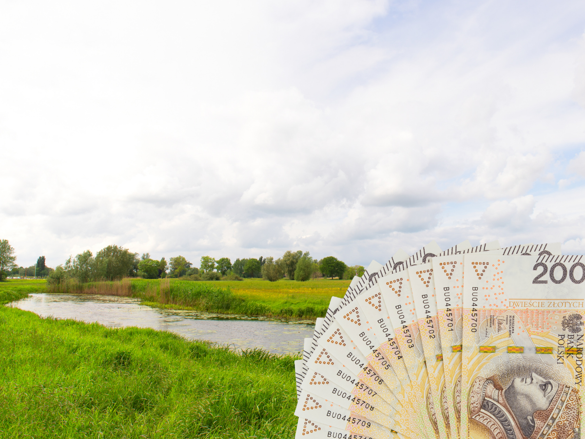 Duże pieniądze dla rolników za oddanie ziemi naturze! [SZCZEGÓŁY]