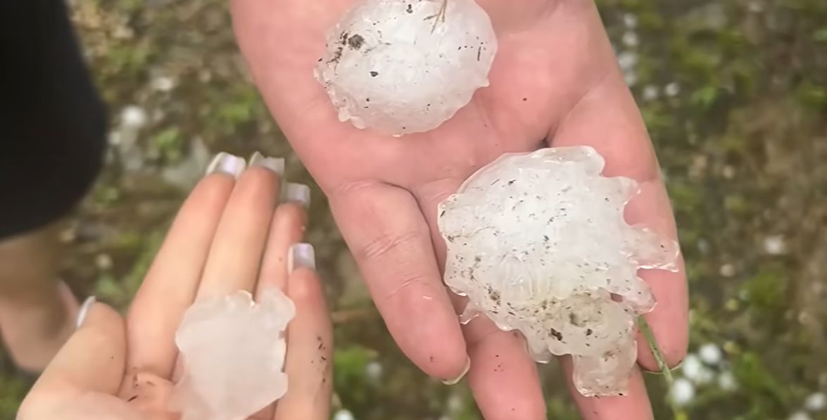 Grad wielkości 10 cm zniszczył uprawy. „Myślałem, iż to koniec świata”