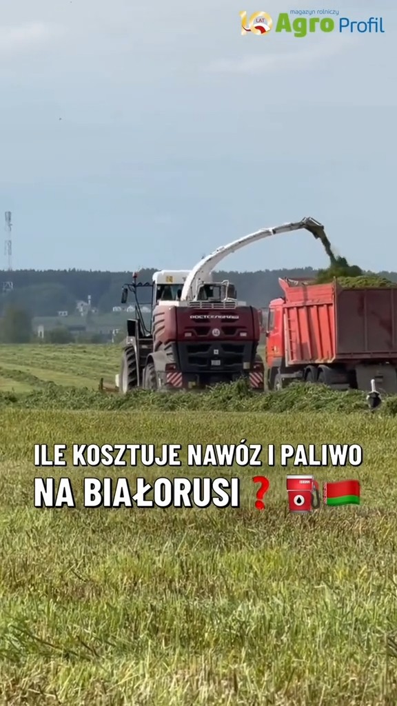 Wideo tygodnia