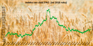 Indeks cen zbóż FAO w lipcu 2026