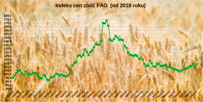 Indeks cen zbóż FAO w lipcu 2026