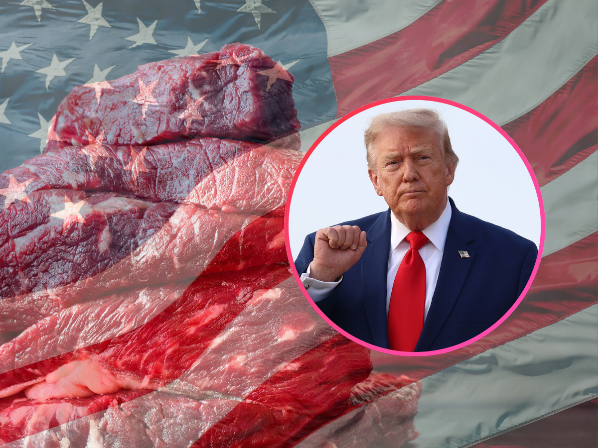 Trump otwiera granice dla tańszej wołowiny z importu. Do USA trafi 300 tys. ton!