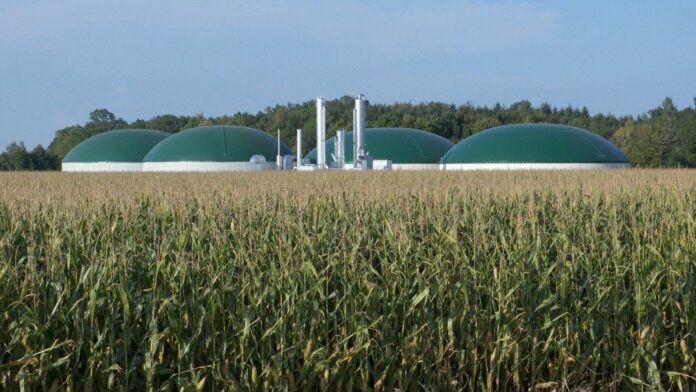 Green Gas Poland 2026 – konferencja biogazu i biometanu